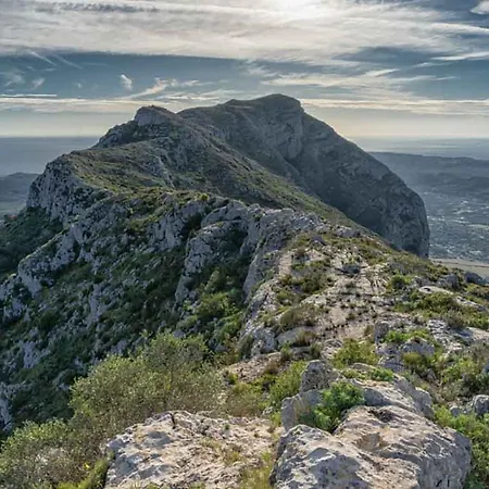 Experiencia Premium En La Esencia De