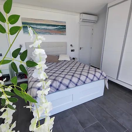 Experiencia Premium En La Esencia De 데니아